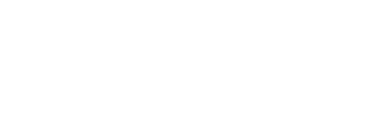 Fist Fight