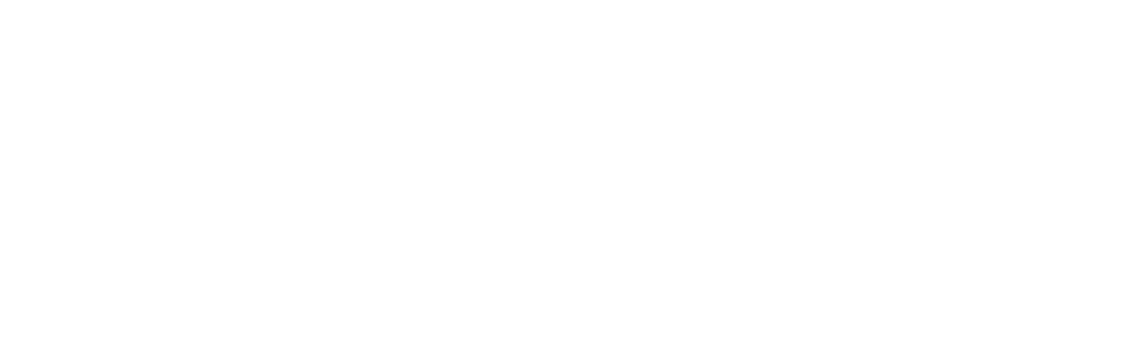 The Killing of Kenneth Chamberlain