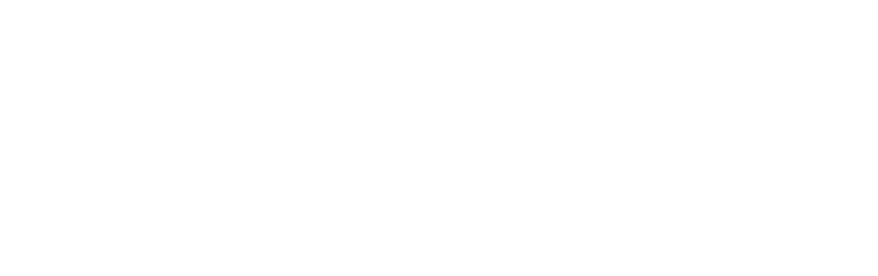 The Menu