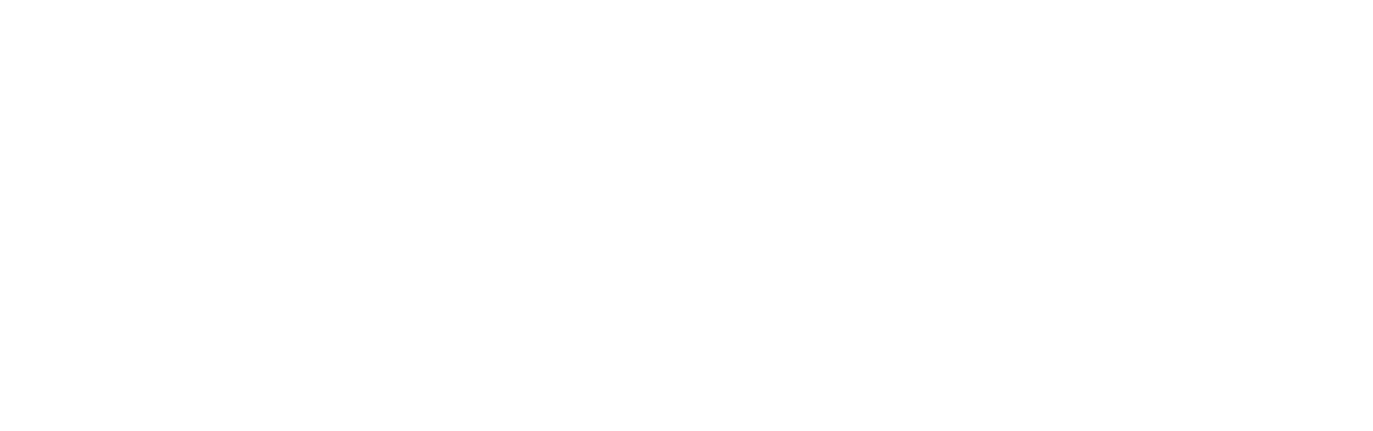 Dark Asset