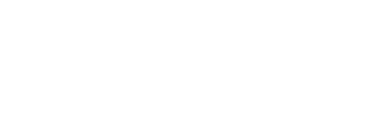 The Salvation