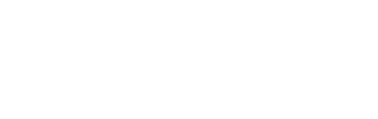 The D Train