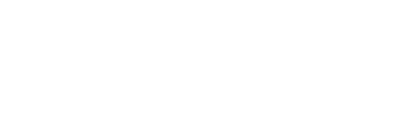 Bodyguard of Lies