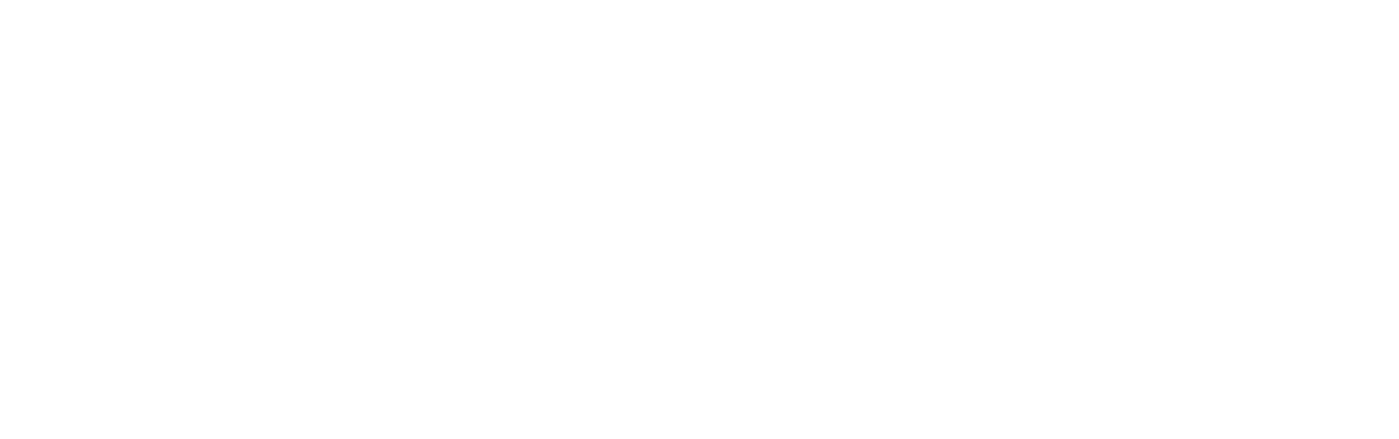 A President Show Documentary: The Fall of Donald Trump