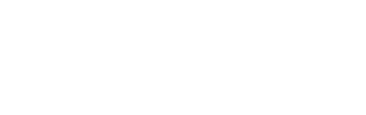 The Back-up Plan