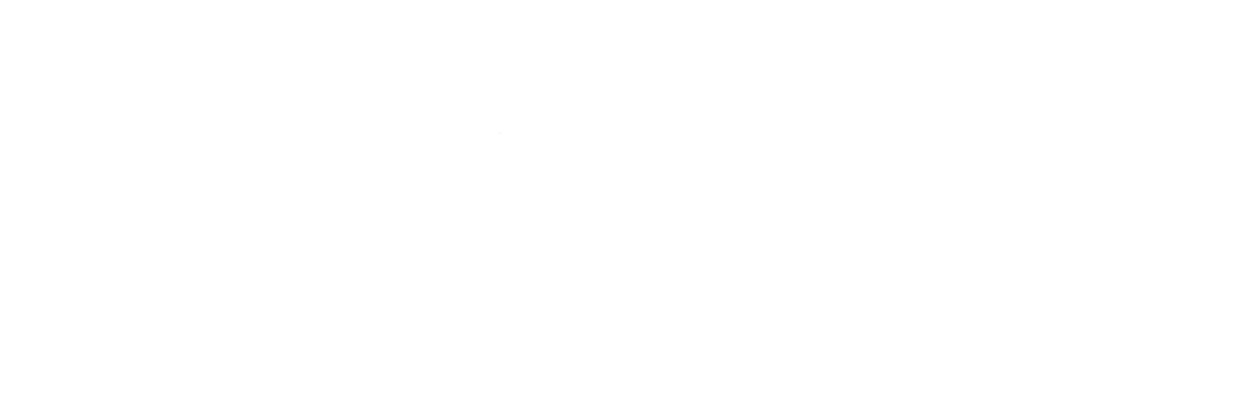 The Crime Smasher