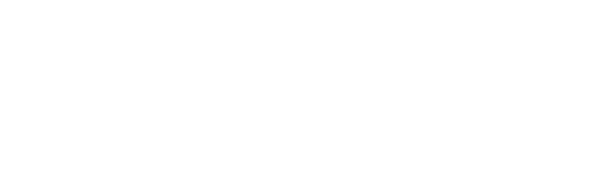 The Fast and the Furious