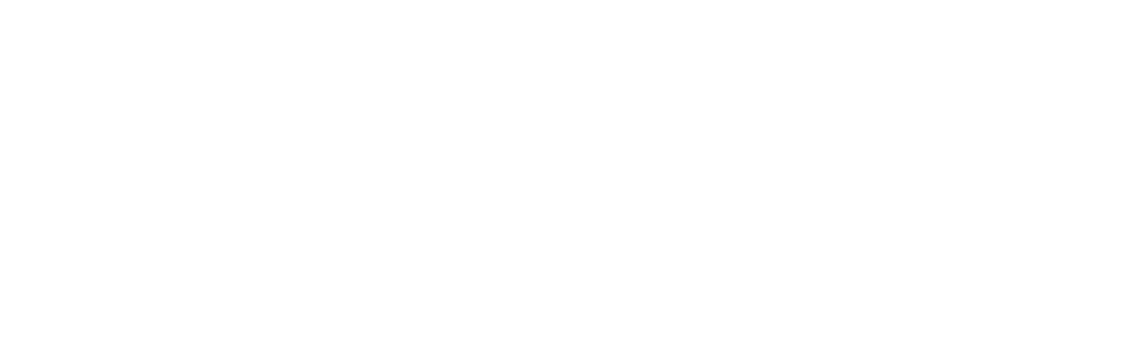 Gringo: The Dangerous Life of John McAfee