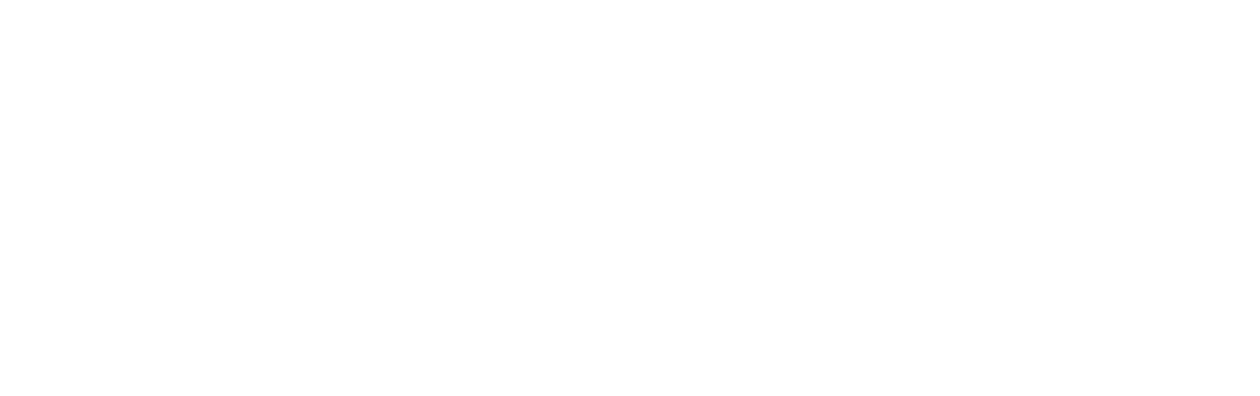 The Assistant
