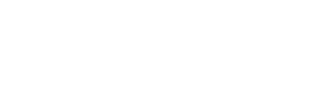 Kennedy's Suicide Bomber