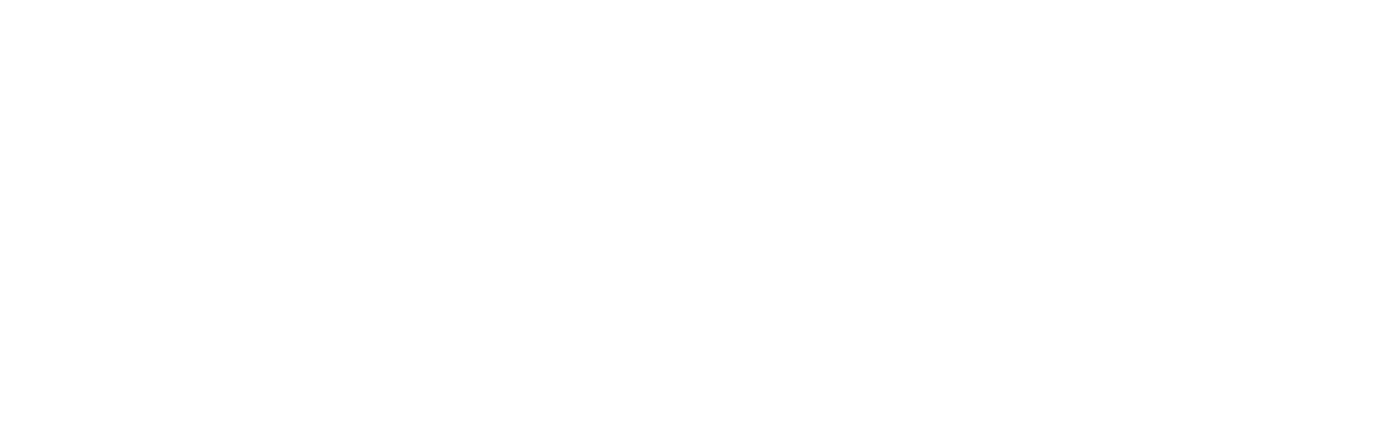 Flight