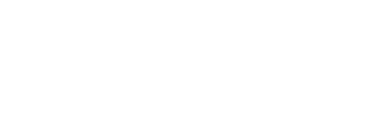 The Perfect Guy