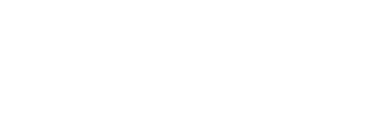 Birthing a Nation: The Resistance of Mary Gaffney