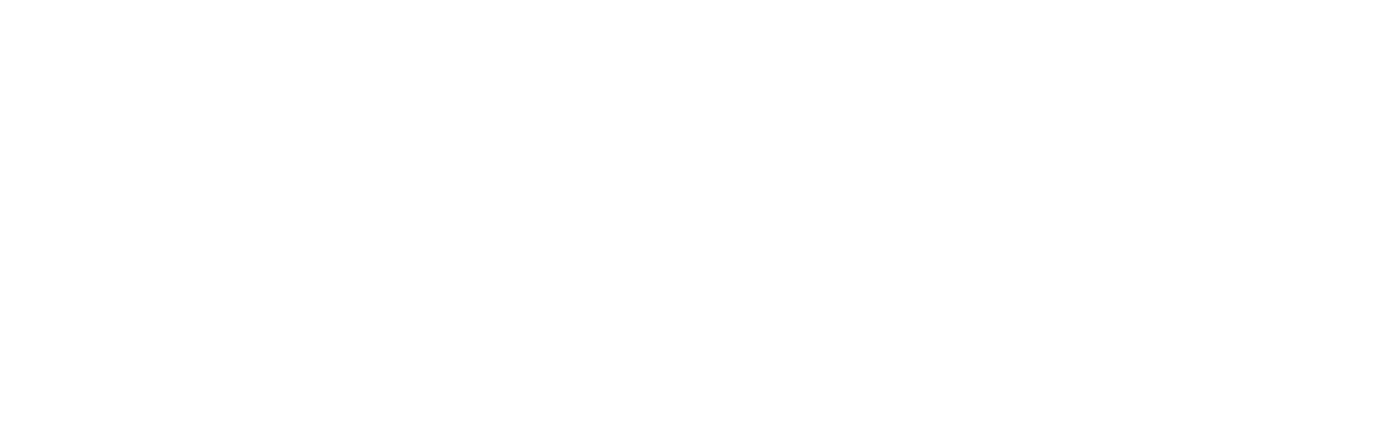 16 Shots