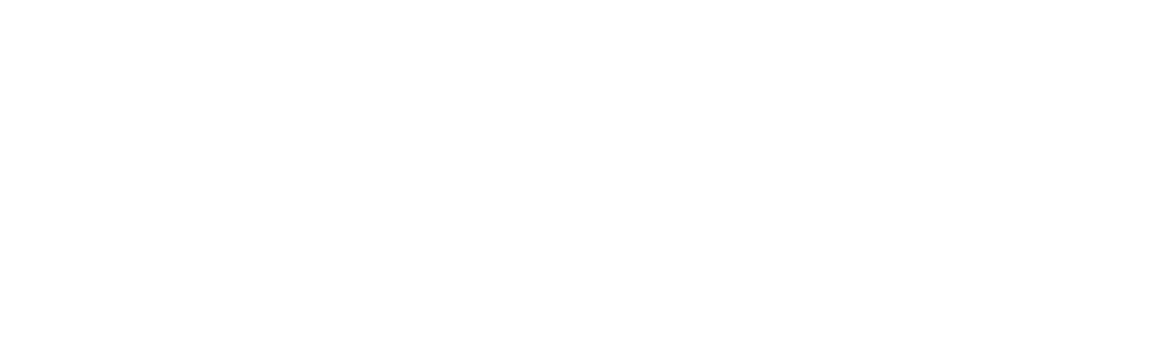 The Accordion Kings