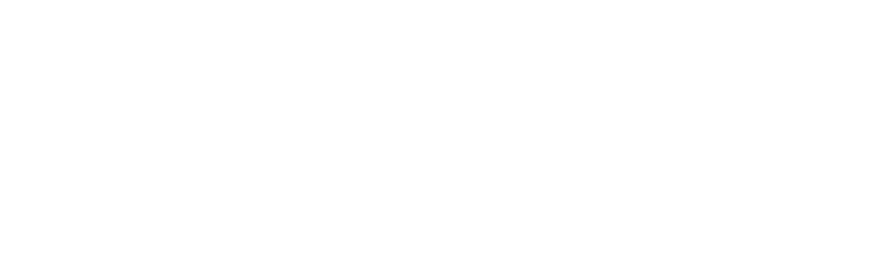 American Insurrection