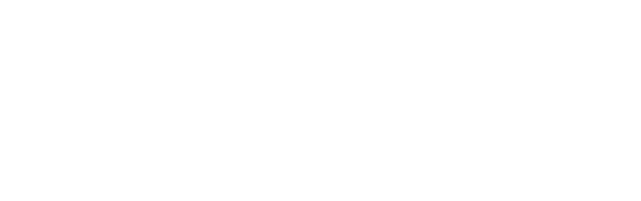 The Gunman