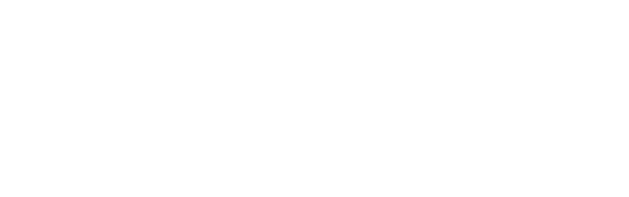 Brave New Jersey