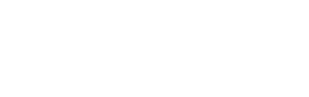 Election