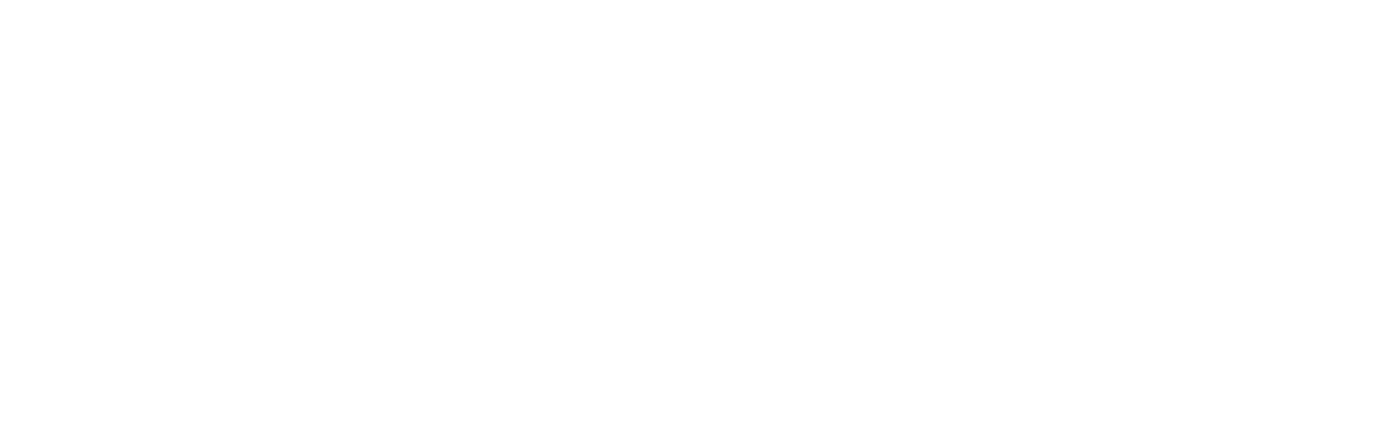 Last Flight Home