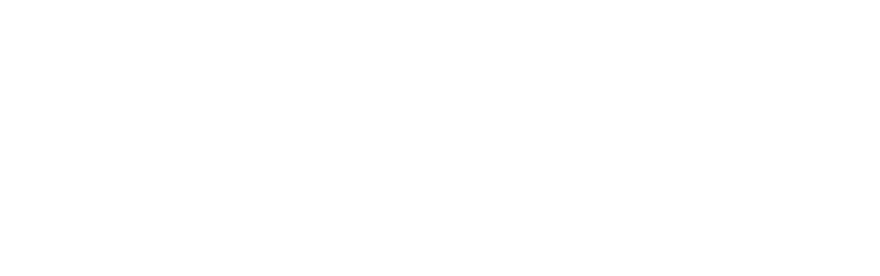 Black Box Diaries