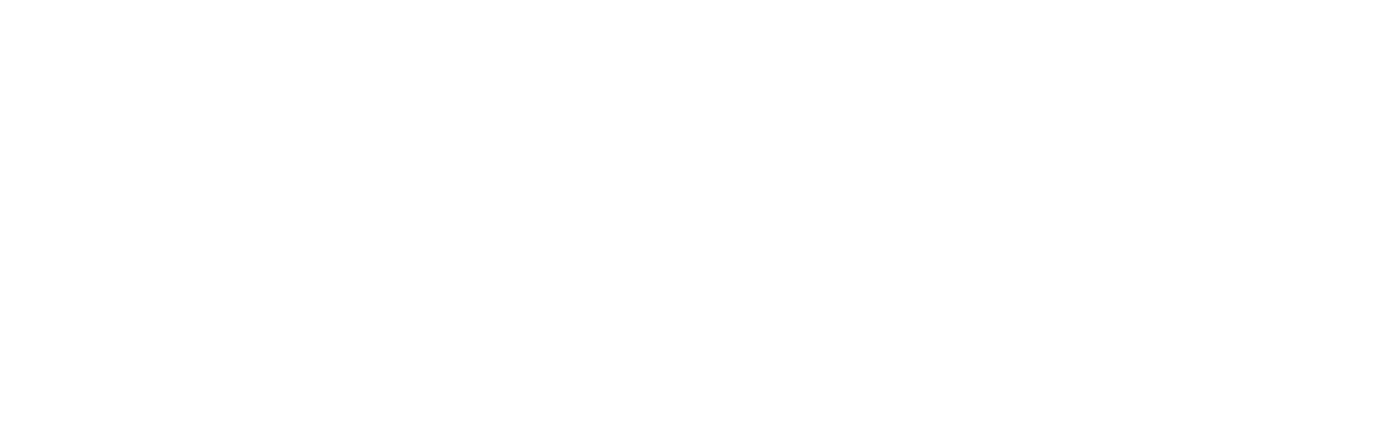 Planes, Trains and Automobiles