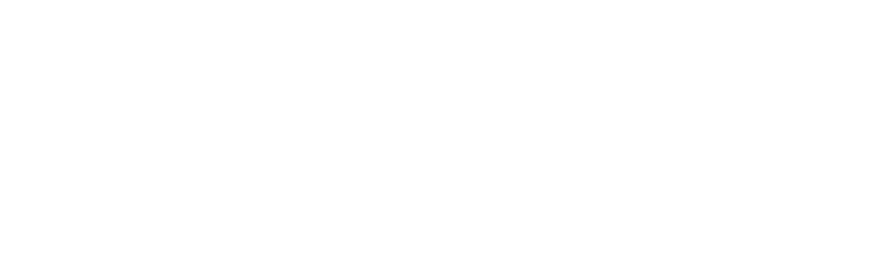 Monkeys of Bioko