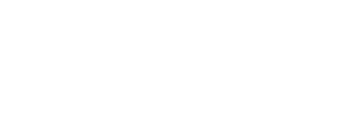Wolf vs. Bear