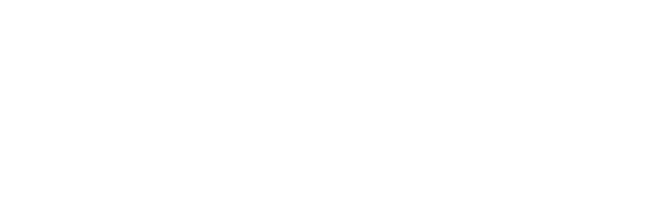 Assassination Nation