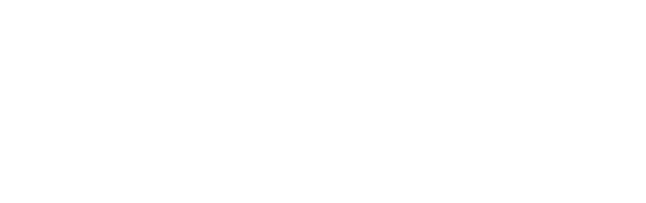 The Angry Birds Movie