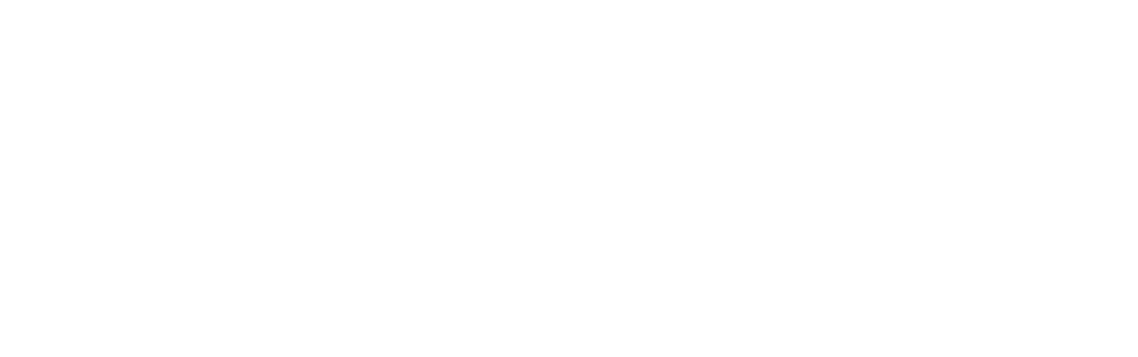 A PAW Patrol Christmas