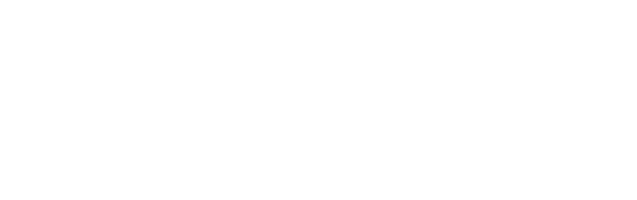 Nocturnal Animals