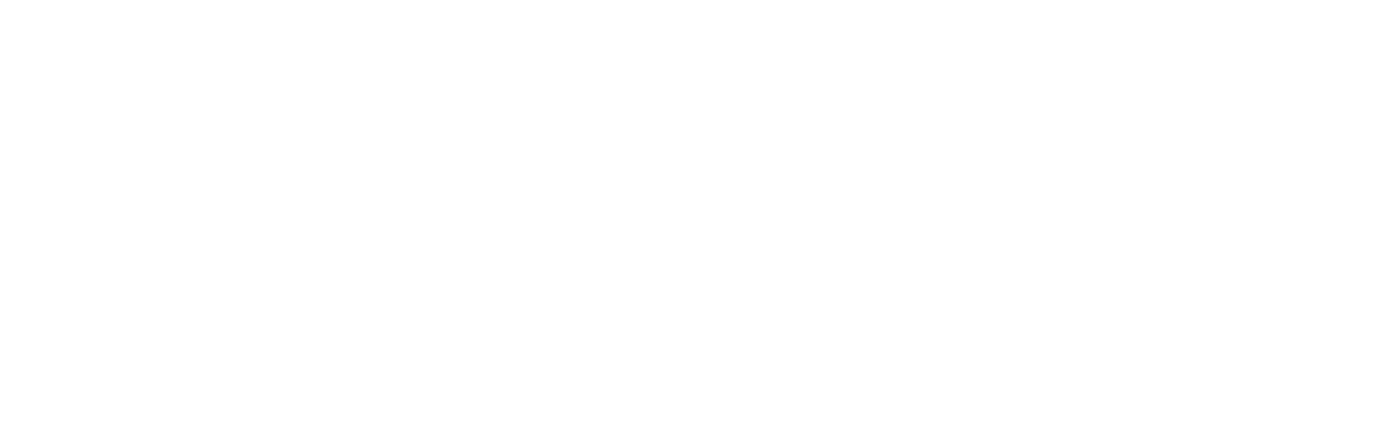 The Stand In