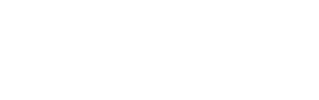 Day of the Fight