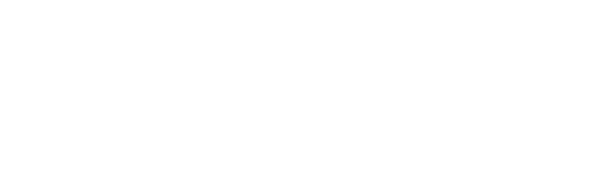 Fist of Fury