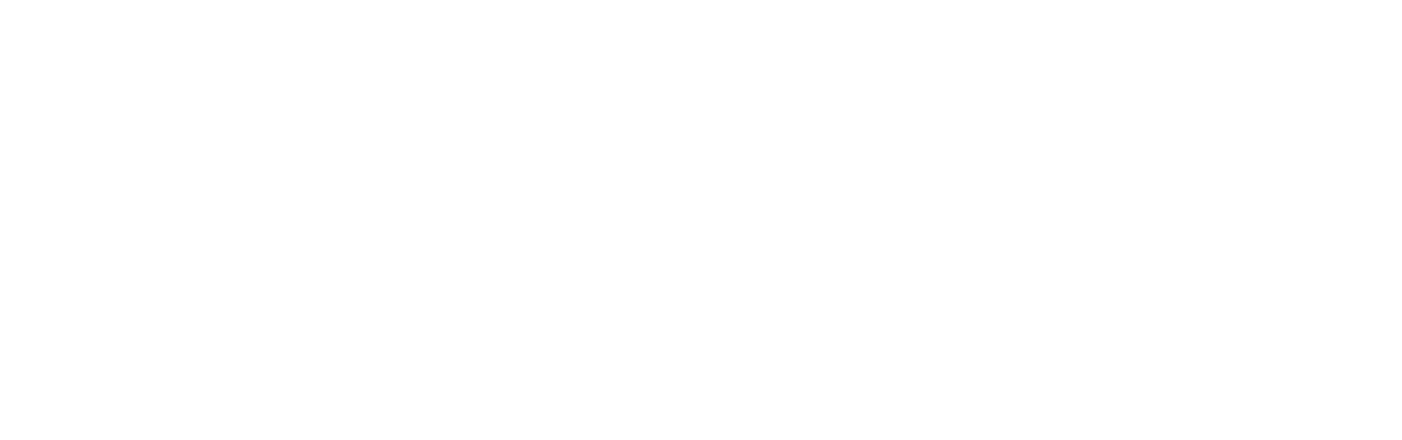 The Warrior