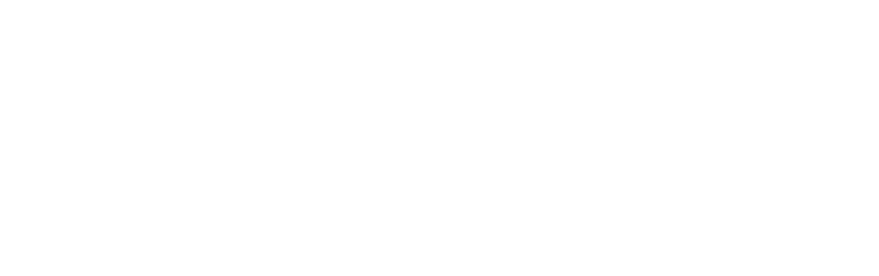 The Fan