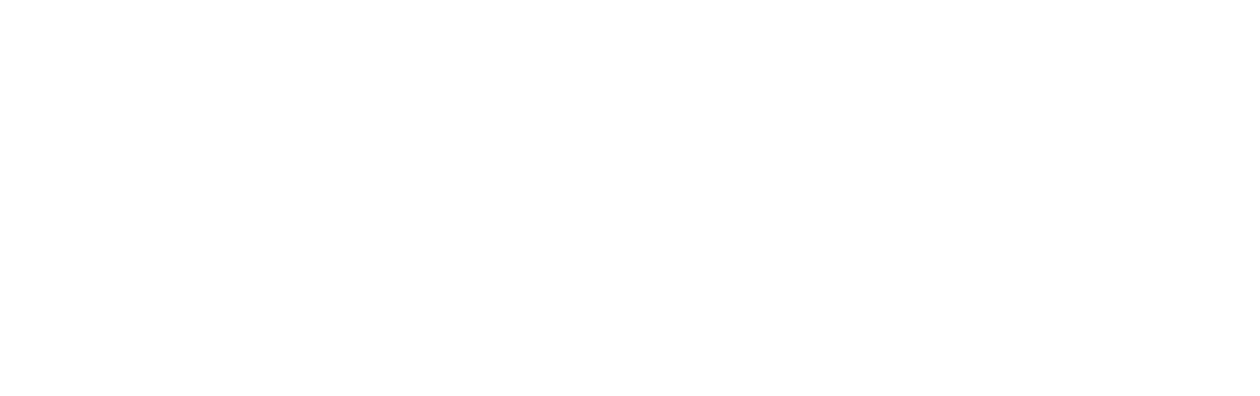 Dreamer: Inspired by a True Story