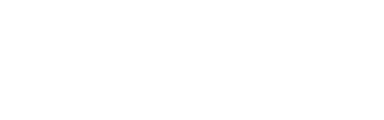 First Lady of BMF: The Tonesa Welch Story