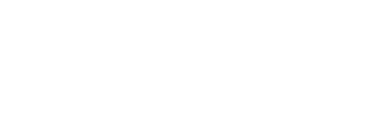 The Last Duel