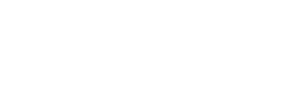 The Bounty Hunter