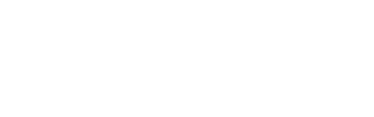 The Dutchman