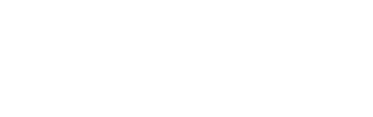 The Bodyguard
