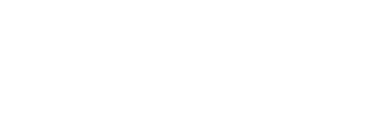 Wild Wild West