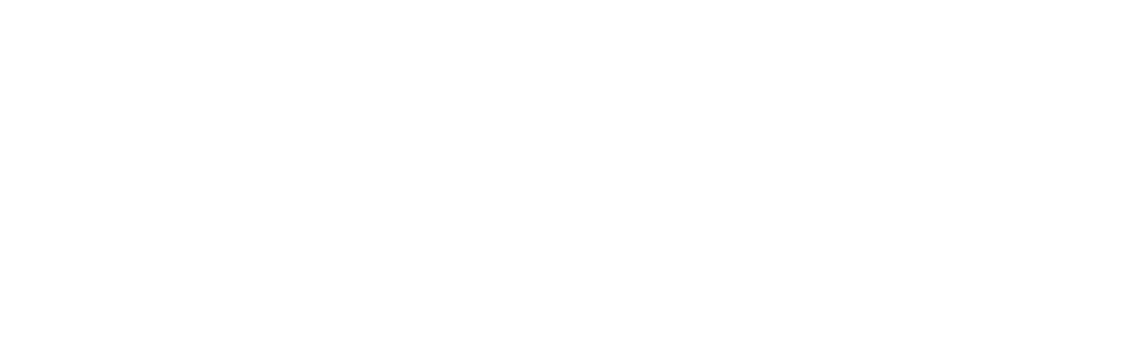 Duplex