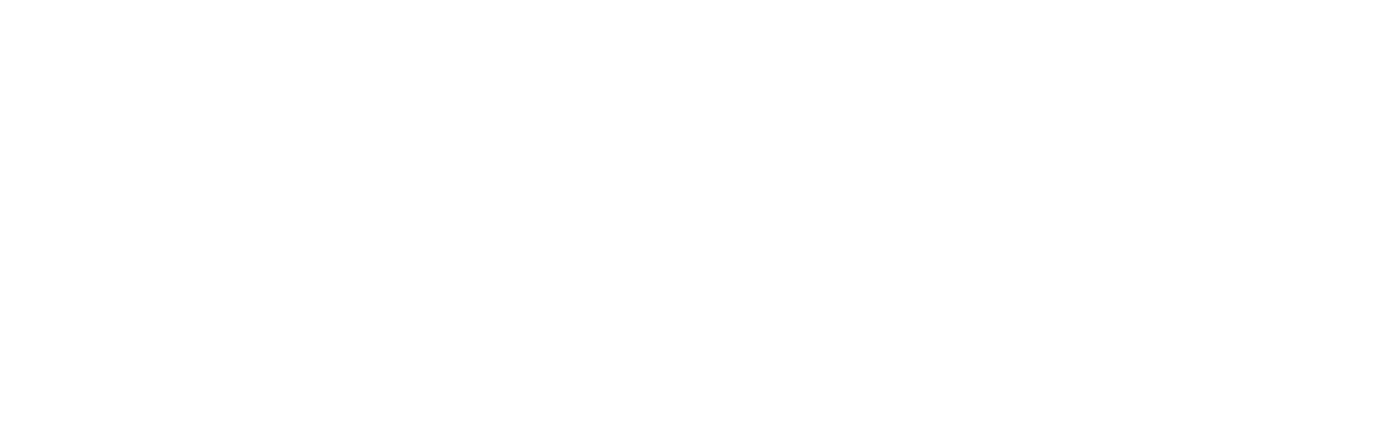 The Time Traveler's Wife
