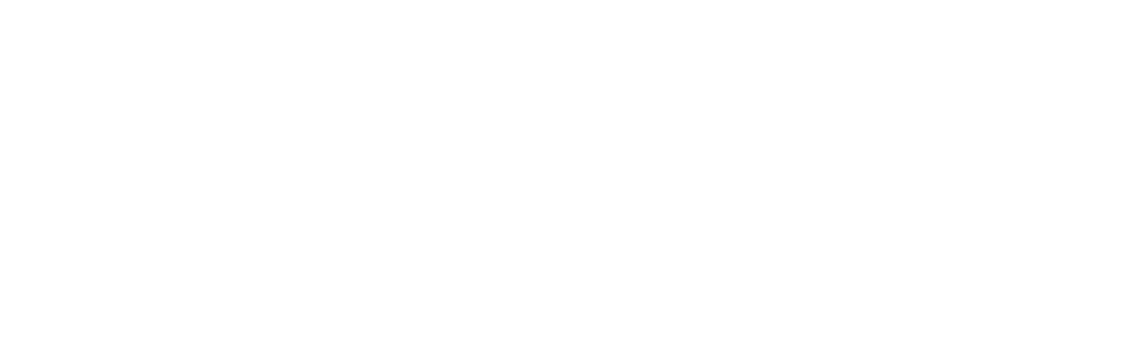 Phantoms