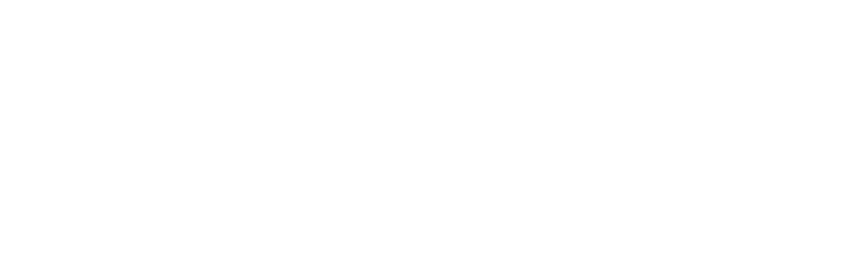 The November Man