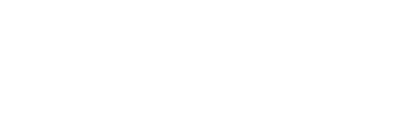 Rocky V