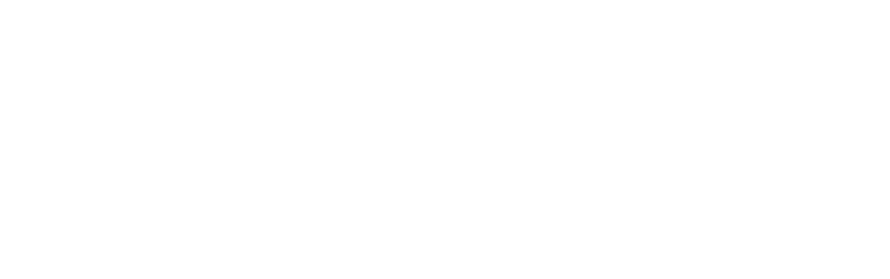 Mr. Holmes